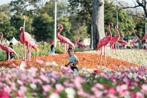 BIB: 
                            <button type="button" onclick="openModal(27344327)" class="btn btn-primary btn-sm float-right btn-popup" data-toggle="modal" data-target=".modal-high-quality">
                        <i class="fas fa-shopping-cart"></i> Add to Cart
                    </button>
                                            <button type="button" onclick="isThisMe(27344327, true)" class="btn btn-success btn-sm float-right btn-popup btn-isme hidden" data-toggle="tooltip" data-placement="bottom" title="นี่คือรูปของคุณใช่ไหม คลิกที่นี่เพื่อเอาเข้าอัลบั้ม">
                        <i class="fas fa-plus"></i> Add to album
                    </button>
                    <button type="button" onclick="isThisMe(27344327, false)" class="btn btn-warning btn-sm float-right btn-popup btn-isnotme hidden">
                        <i class="fas fa-ban"></i> Remove from album
                    </button>